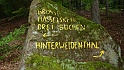 Ritterstein Nr. 215-1 Grosse Hasselskehl - Drei Buchen Hinterweidenthal 209 ü NN 